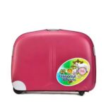 Bubule DL507 – 4-Piece PP Luggage Set