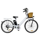 Nakto  26 Electric Bike – 250W Motor