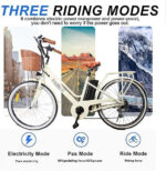 Nakto  26 Electric Bike – 250W Motor