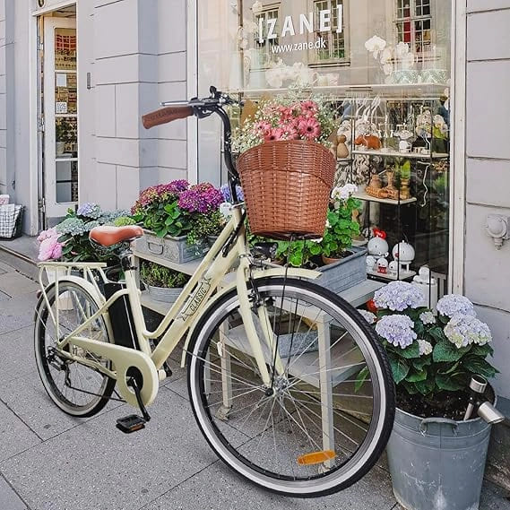 Nakto  26 Electric Bike – 250W Motor