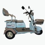 Electric Three-Wheel Bike
