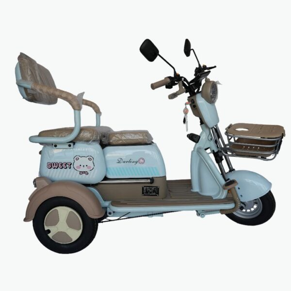 Electric Three-Wheel Bike