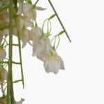 Artificial climbing bougainvillea branches