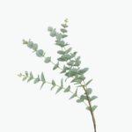 Attractive Mixed Artificial Flowers