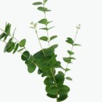 Attractive Mixed Artificial Flowers