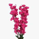 عصا زهر الكرز الاصطناعية