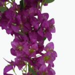 عصا زهر الكرز الاصطناعية