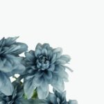 زهور اصطناعية مختلطة جذابة