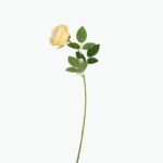 زهور الأقحوان الاصطناعية