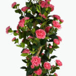 Artificial Camellia Flower Tree
