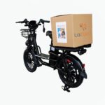 Electric Bike with Rear Seat