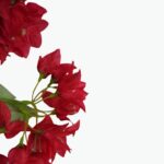 Artificial climbing bougainvillea branches