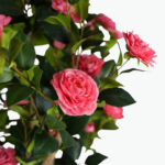 Artificial Camellia Flower Tree
