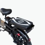 Electric Bike with Rear Seat