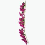 Artificial climbing bougainvillea branches