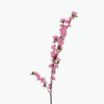 Artificial Rose Branch