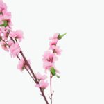 Artificial Rose Branch