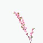 Artificial Rose Branch