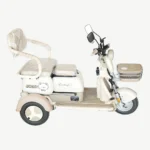 Adult Electric Tricycle with High-Capacity