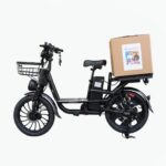 Electric Bike with Rear Seat