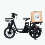 Electric Bike with Rear Seat