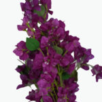 عصا زهر الكرز الاصطناعية