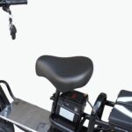 Electric Bike with Rear Seat