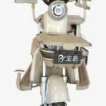 Adult Electric Tricycle with High-Capacity