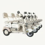 Adult Electric Tricycle with High-Capacity
