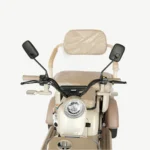 Adult Electric Tricycle with High-Capacity