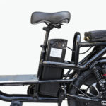 Electric Bike with Rear Seat