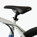 Bicycle SML-001