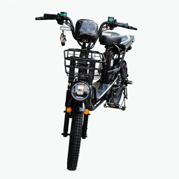 Electric Bike with Rear Seat