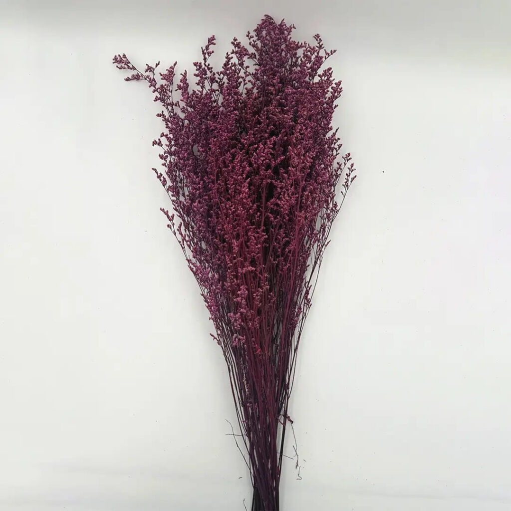 Natural Dried Caspia Flowers for Home Decoration