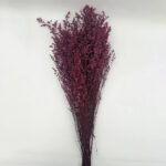 Natural Dried Caspia Flowers for Home Decoration