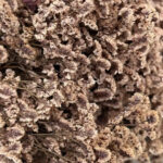 natural dried crystal grass bouquet real flowers