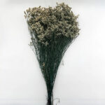 natural dried crystal grass bouquet real flowers