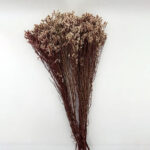 natural dried crystal grass bouquet real flowers