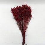 natural dried crystal grass bouquet real flowers