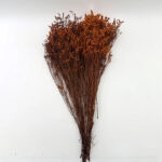 natural dried crystal grass bouquet real flowers