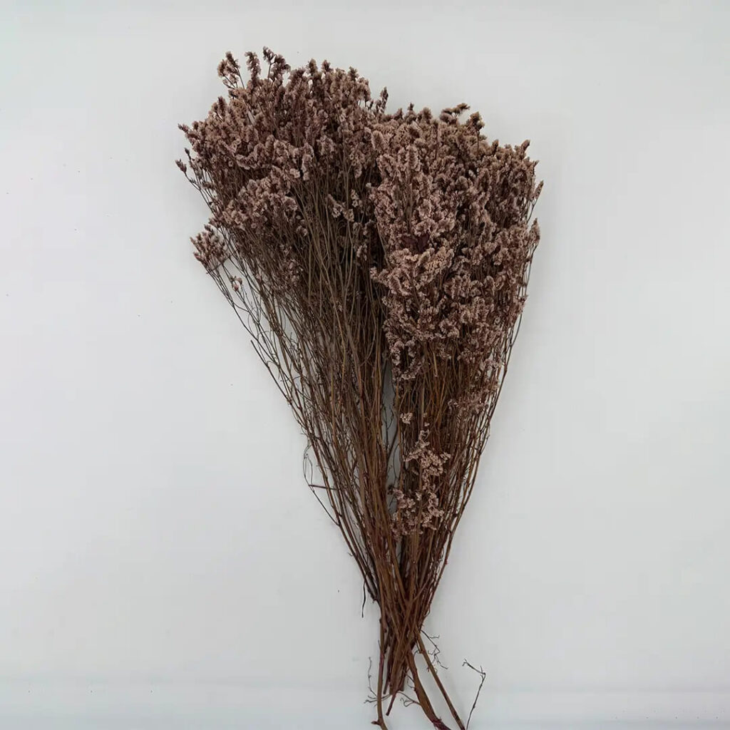 natural dried crystal grass bouquet real flowers