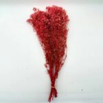 Natural Dried Flowers