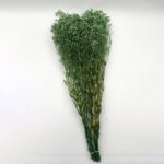 Natural Dried Flowers