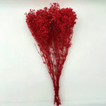 Natural Dried Flowers