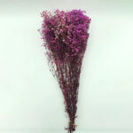 Natural Dried Flowers