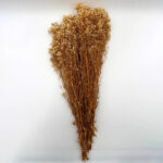 Natural Dried Flowers