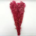 Natural Dried Flowers