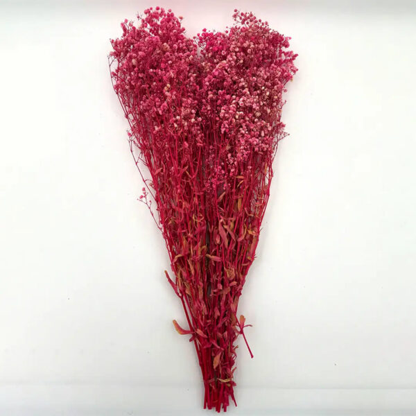 Natural Dried Flowers