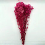 Natural Dried Flowers