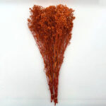 Natural Dried Flowers